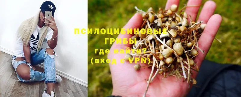 Галлюциногенные грибы GOLDEN TEACHER  Великие Луки 