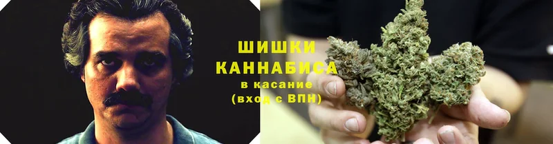 наркота  Великие Луки  Бошки Шишки THC 21% 